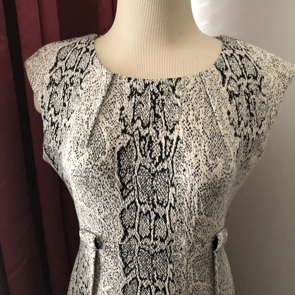 Calvin Klein Dress Black and White Animal Print Dress Size 8P - Picture 7 of 10